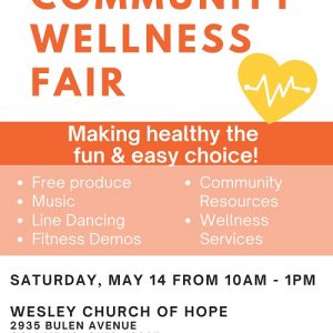 Community Wellness Fair